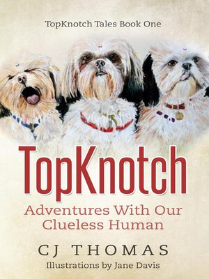 cover image of TopKnotch